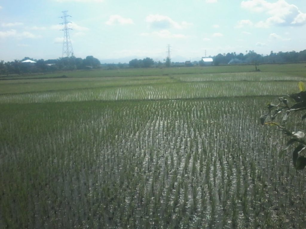 IMG-20200119-WA0023