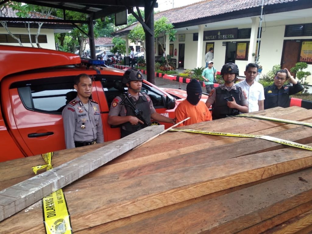 Kadek Daun, Pelaku Ilega Loging Berhasil Ditangkap Oleh Petugas Kepolisian Polres Jembrana