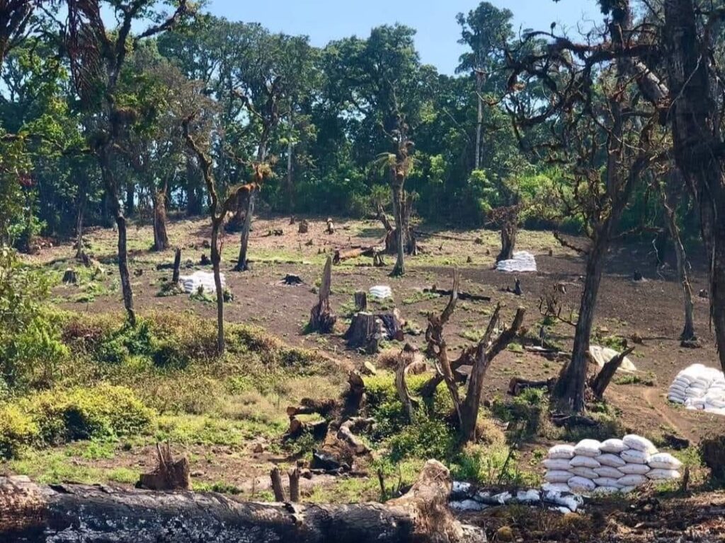 WhatsApp Image 2025-12-27 at 13.35.55 (2)